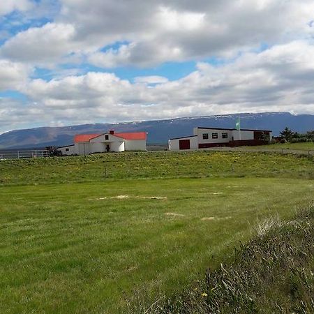 Bed and Breakfast Glaesibaer Reynistadur Экстерьер фото