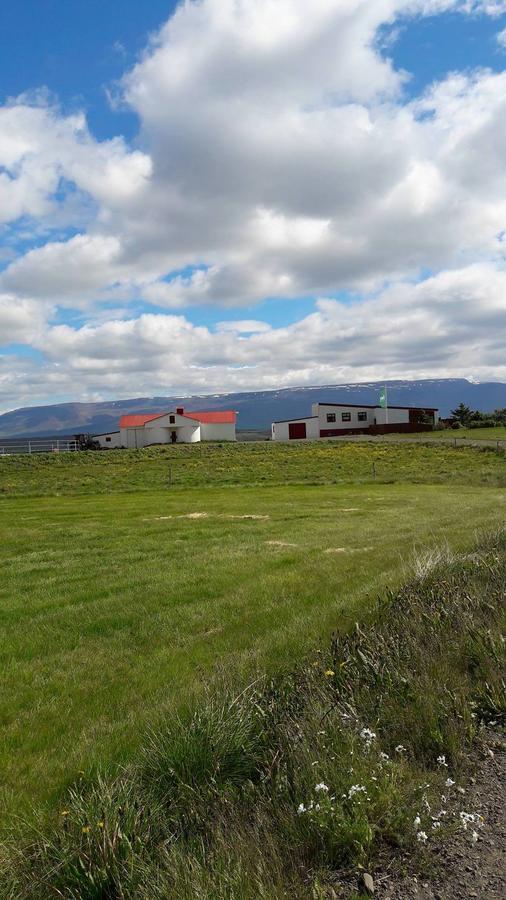 Bed and Breakfast Glaesibaer Reynistadur Экстерьер фото